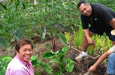 Gardeners at Maui CES garden